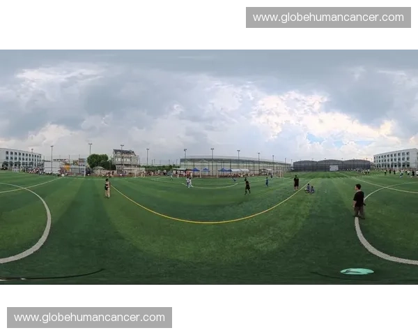 足球比赛精彩瞬间全景画图展示与战术分析技巧结合的创意设计